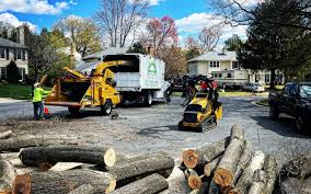 Reliable Shawnee, KS Tree Removal and Landscaping Services Solutions